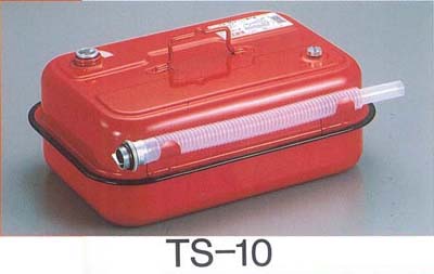 ȹԴ TS-10