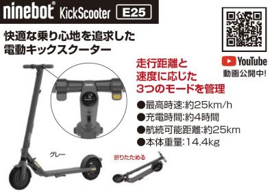 KickScooter E25